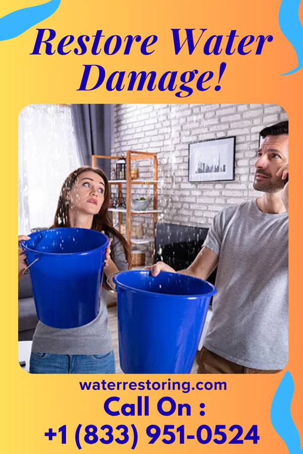 water restoration Solid Water Removal Inc Greenleaf