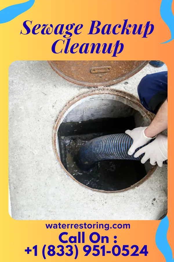 Sewage Backup Cleanup in Greenleaf, KS